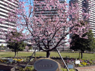 ���{����