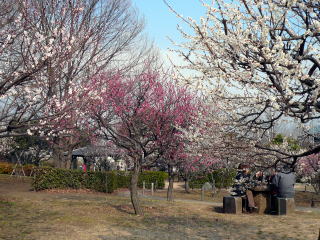 ���͌��k����